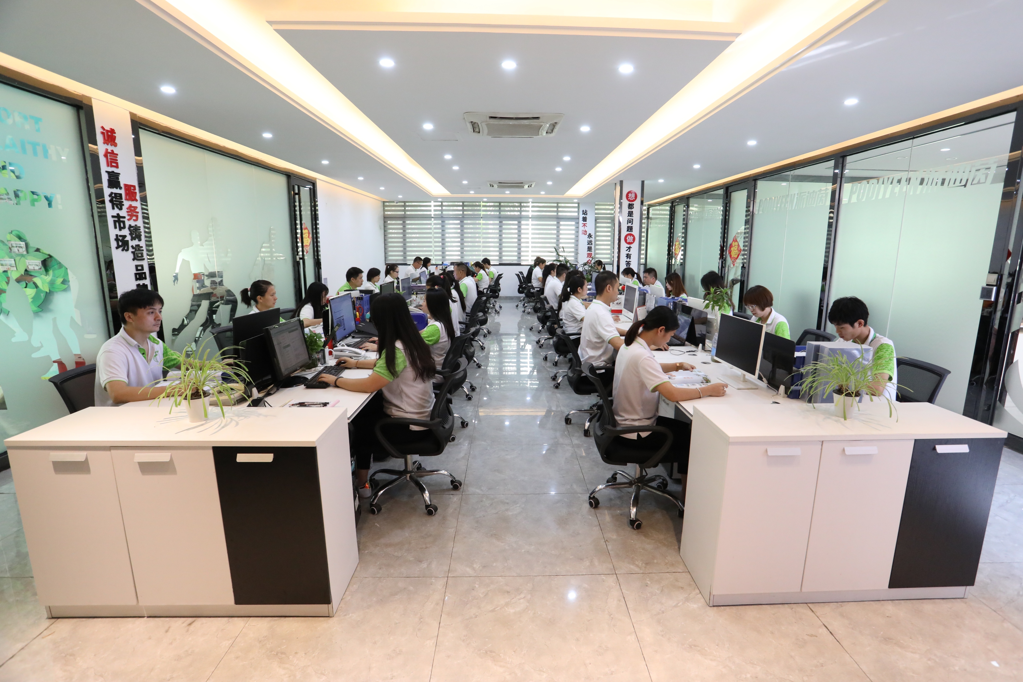 广东派迪茵体育股份有限公司图7