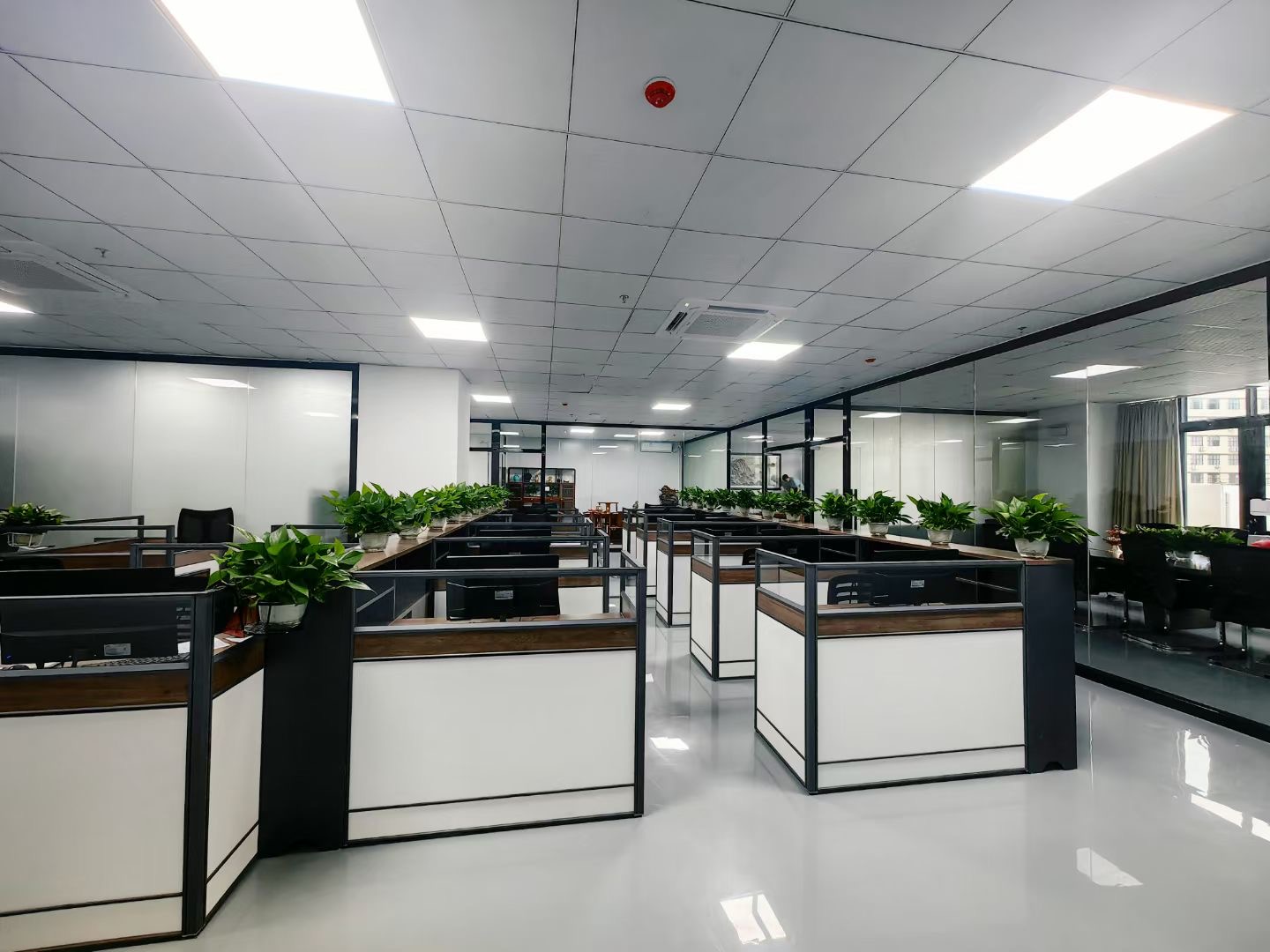 东莞市龙昇光电科技有限公司图5