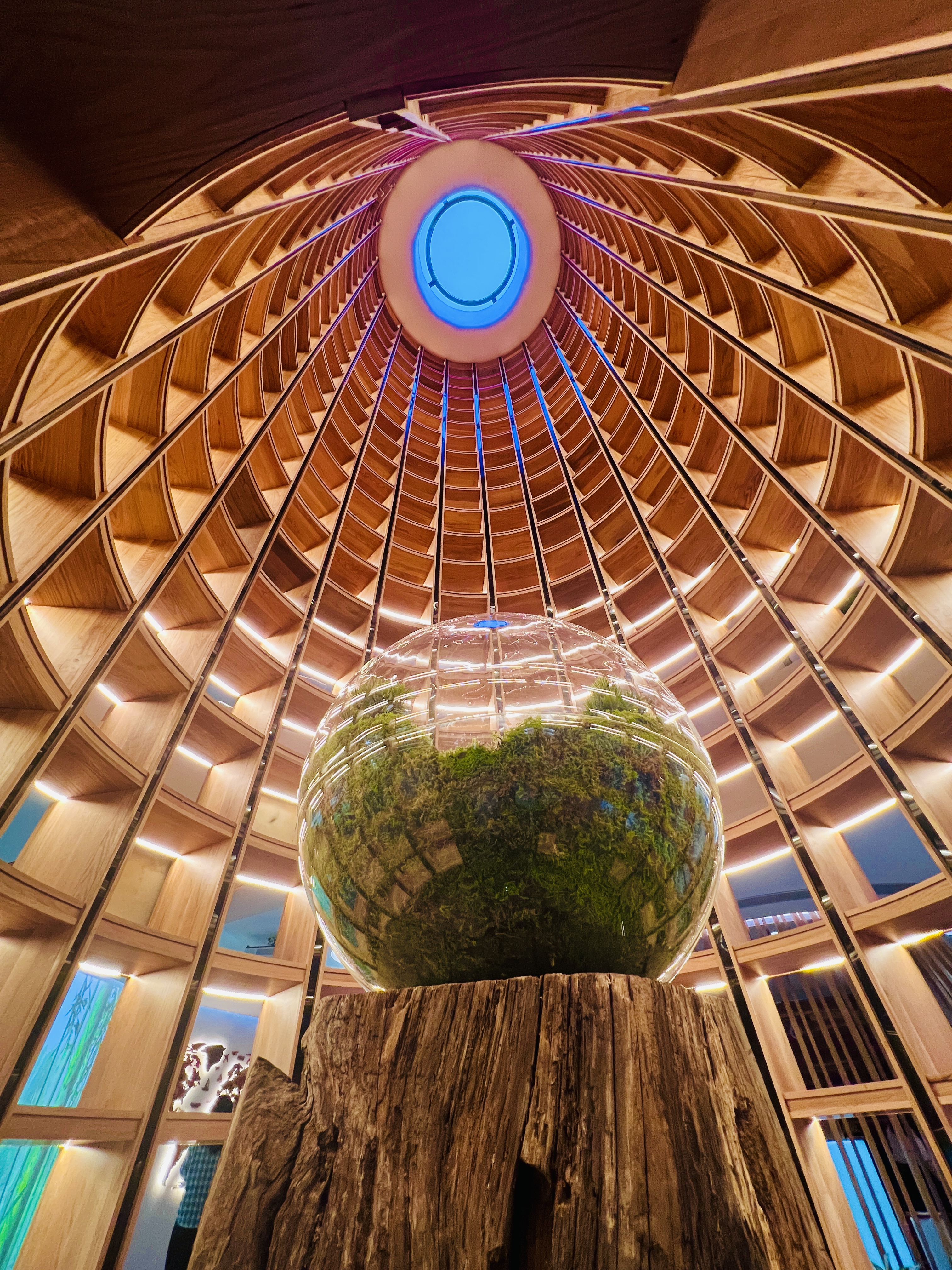 东莞市鼎正木业有限公司图8