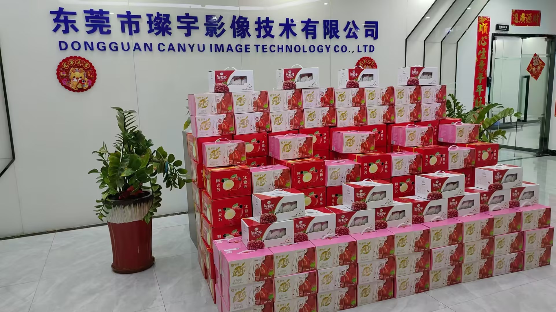 东莞市璨宇影像技术有限公司图11