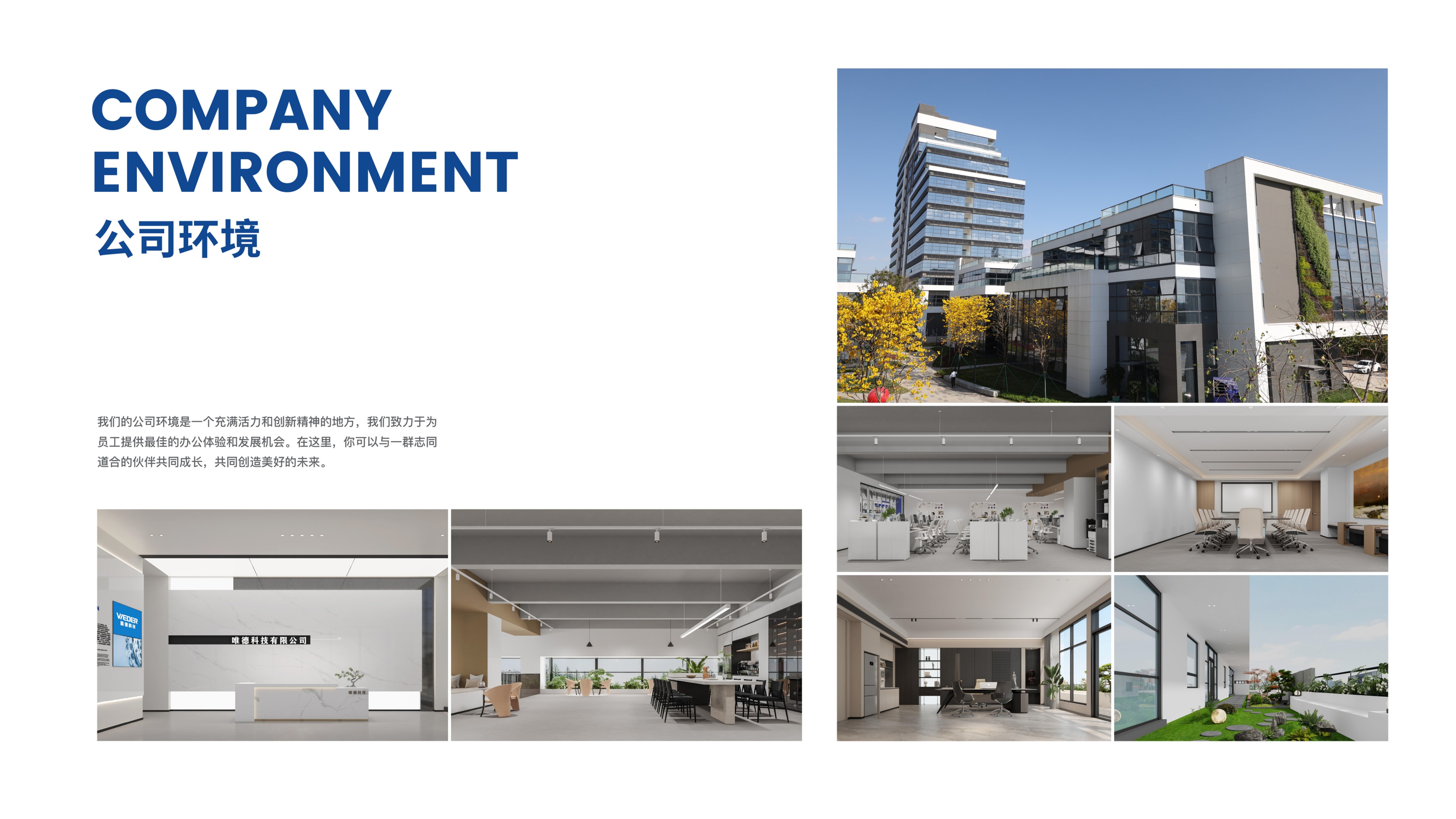 东莞市卡斯蒙自动化科技有限公司图3