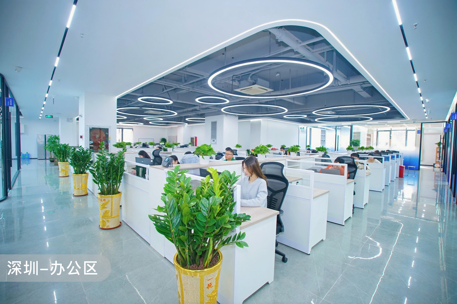 深圳市恩乐实业有限公司图15