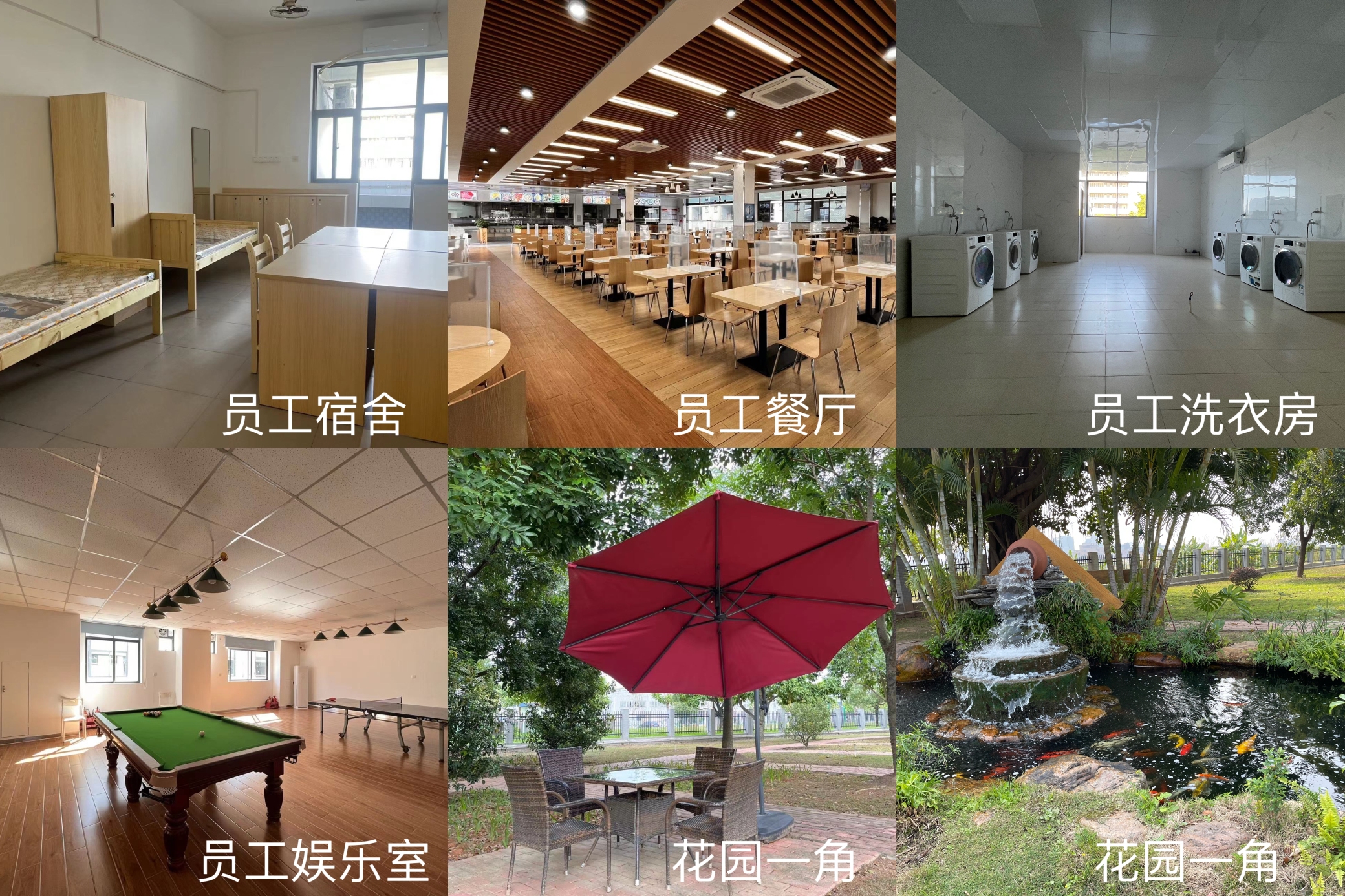 东莞宏大电器制品有限公司图2