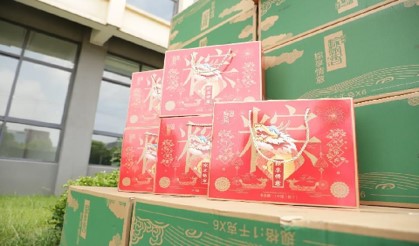 安徽赛腾自动化科技有限公司图20