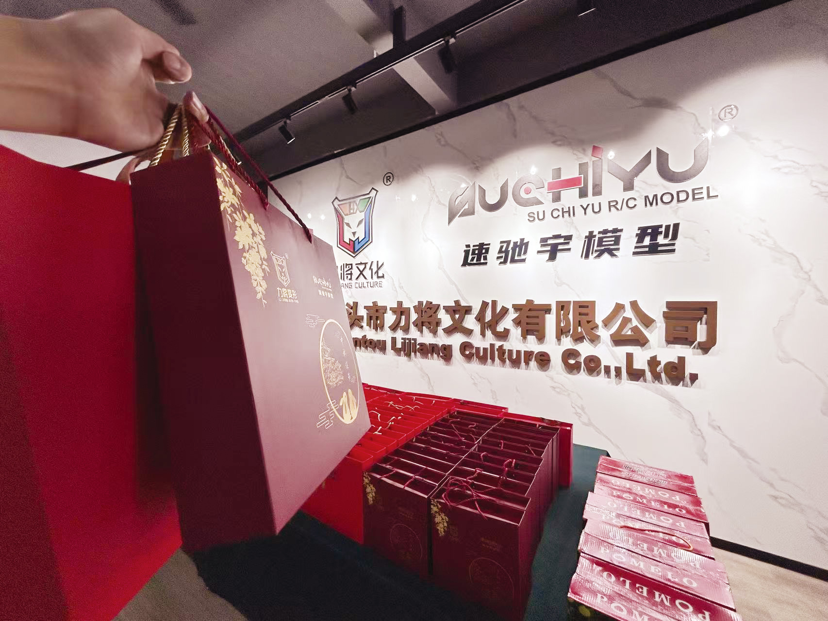 汕头市速驰宇科技有限公司图11