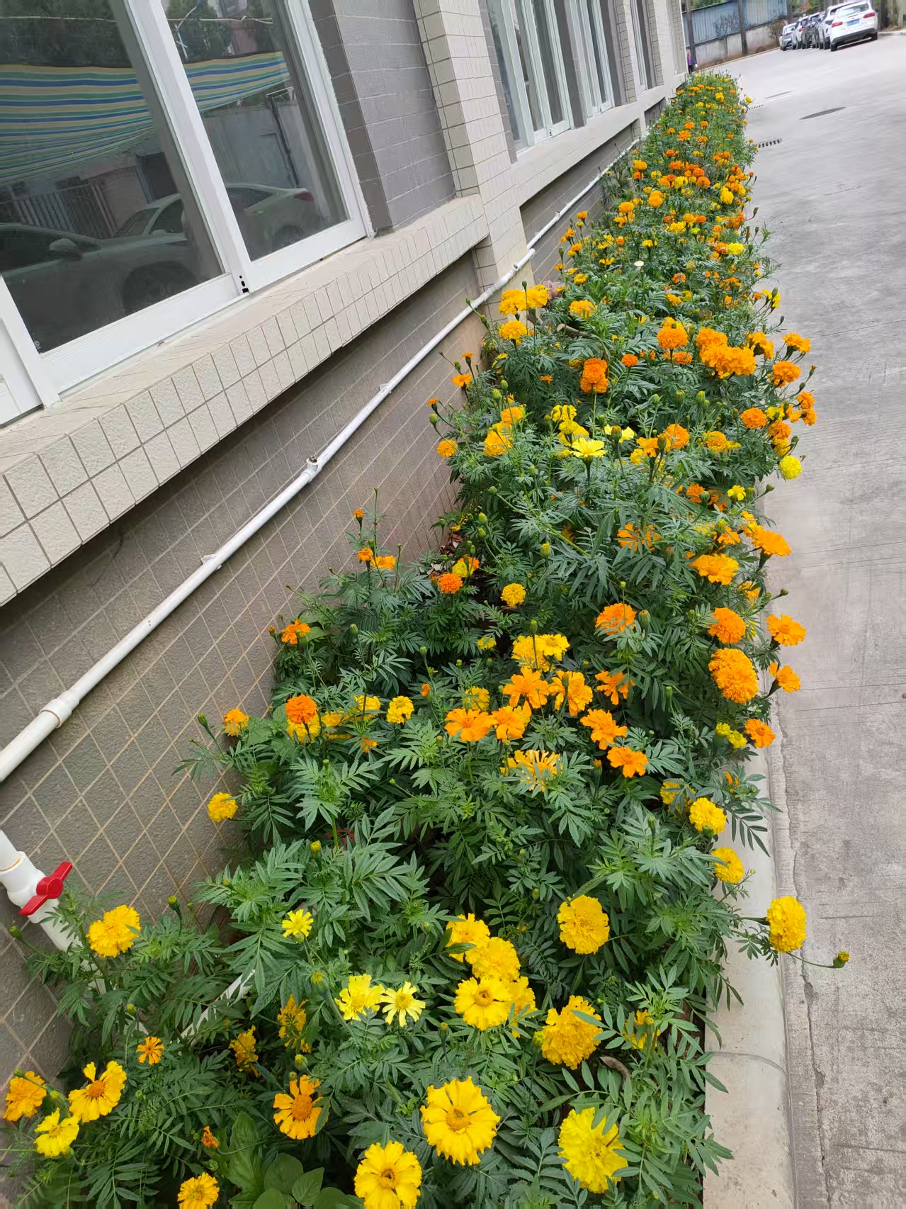 广州市联合科技发展有限公司图19