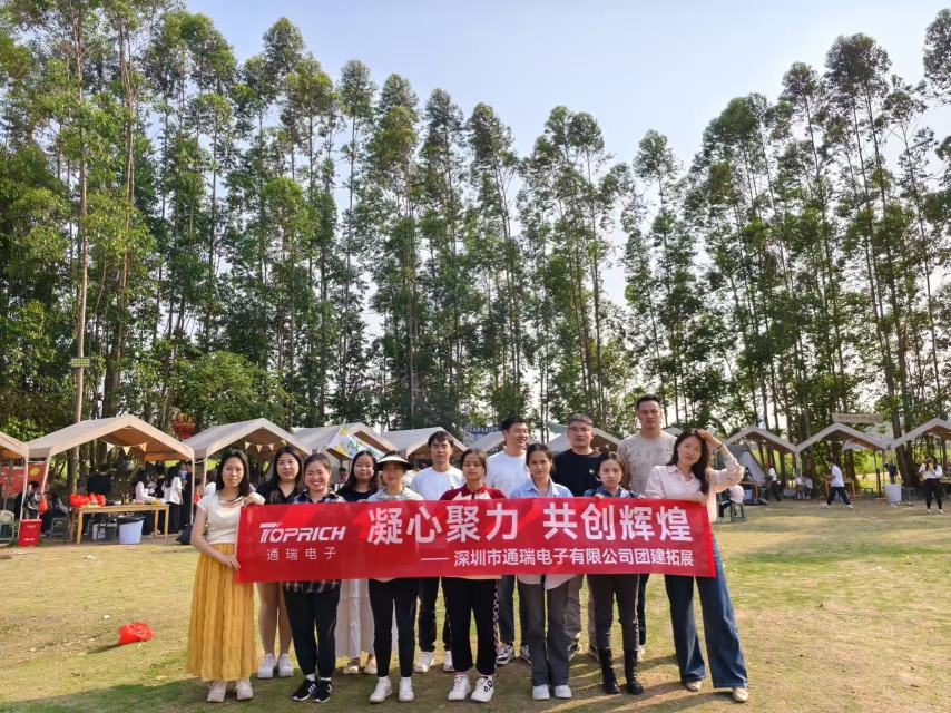 深圳市通瑞电子有限公司图1