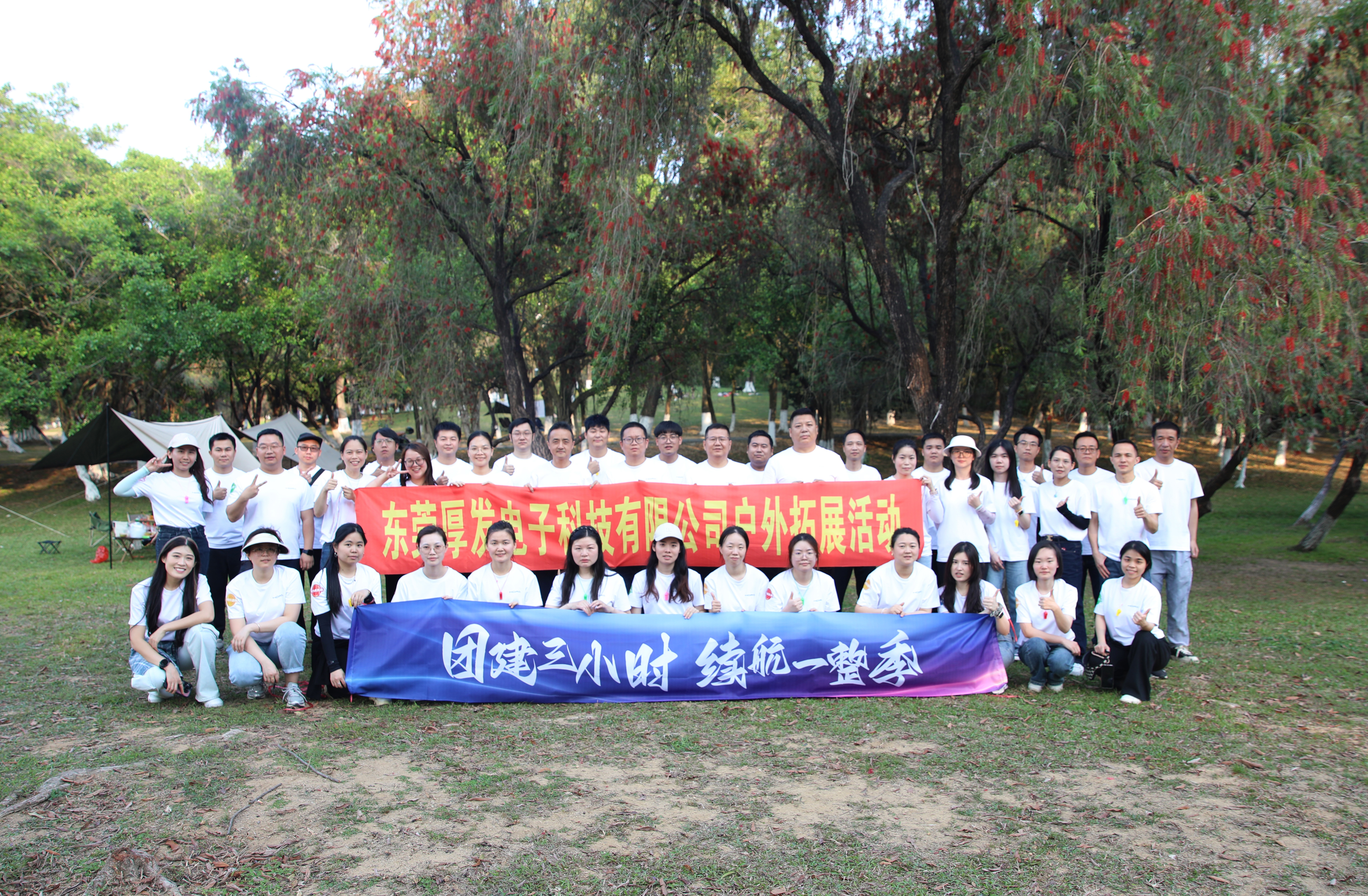 东莞厚发电子科技有限公司图3