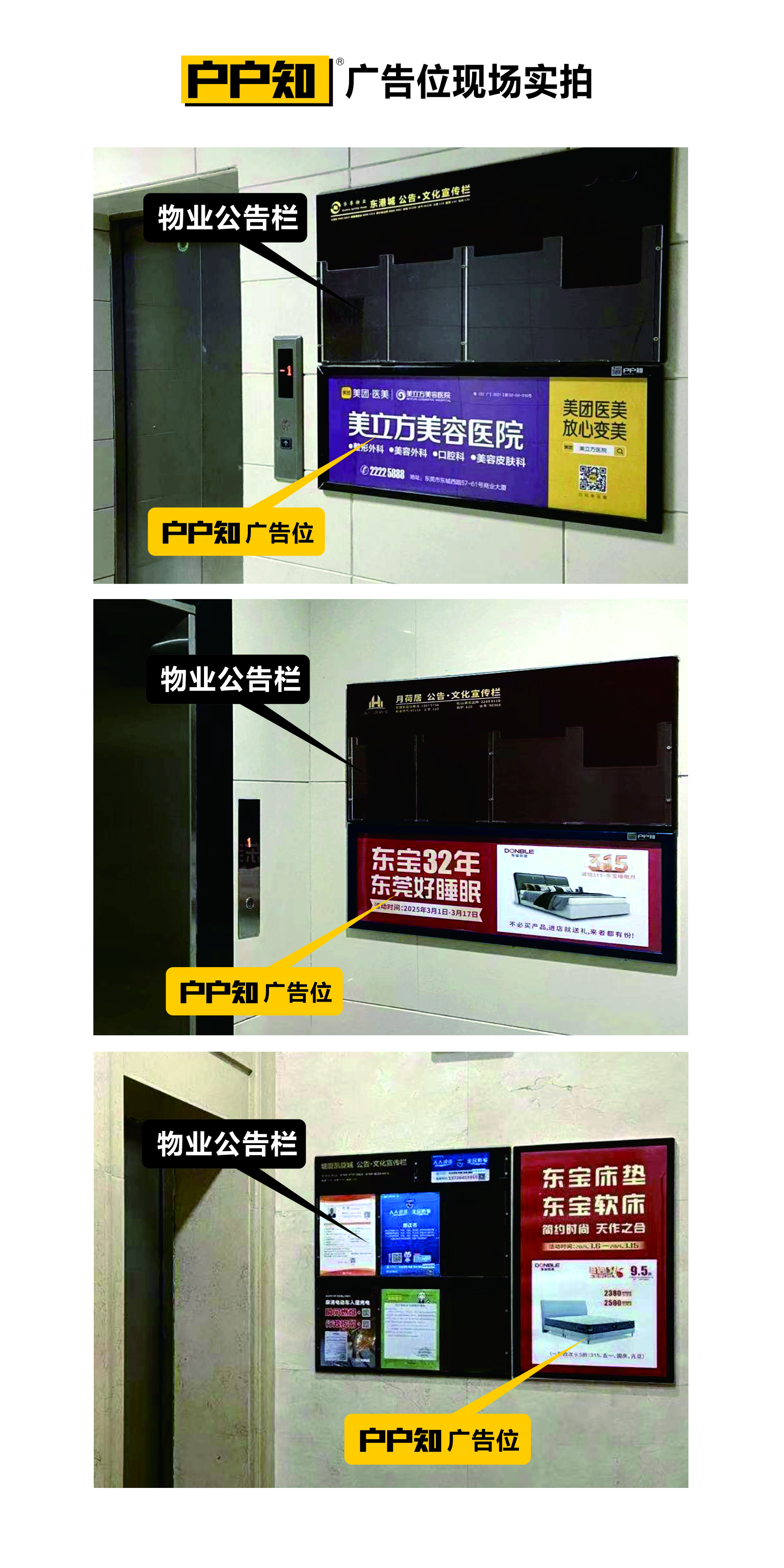 東莞市三千悍馬營銷策劃有限公司圖片3