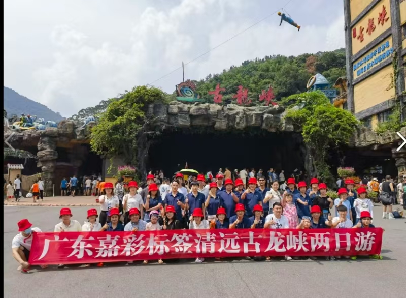 广东嘉彩标签有限公司图11