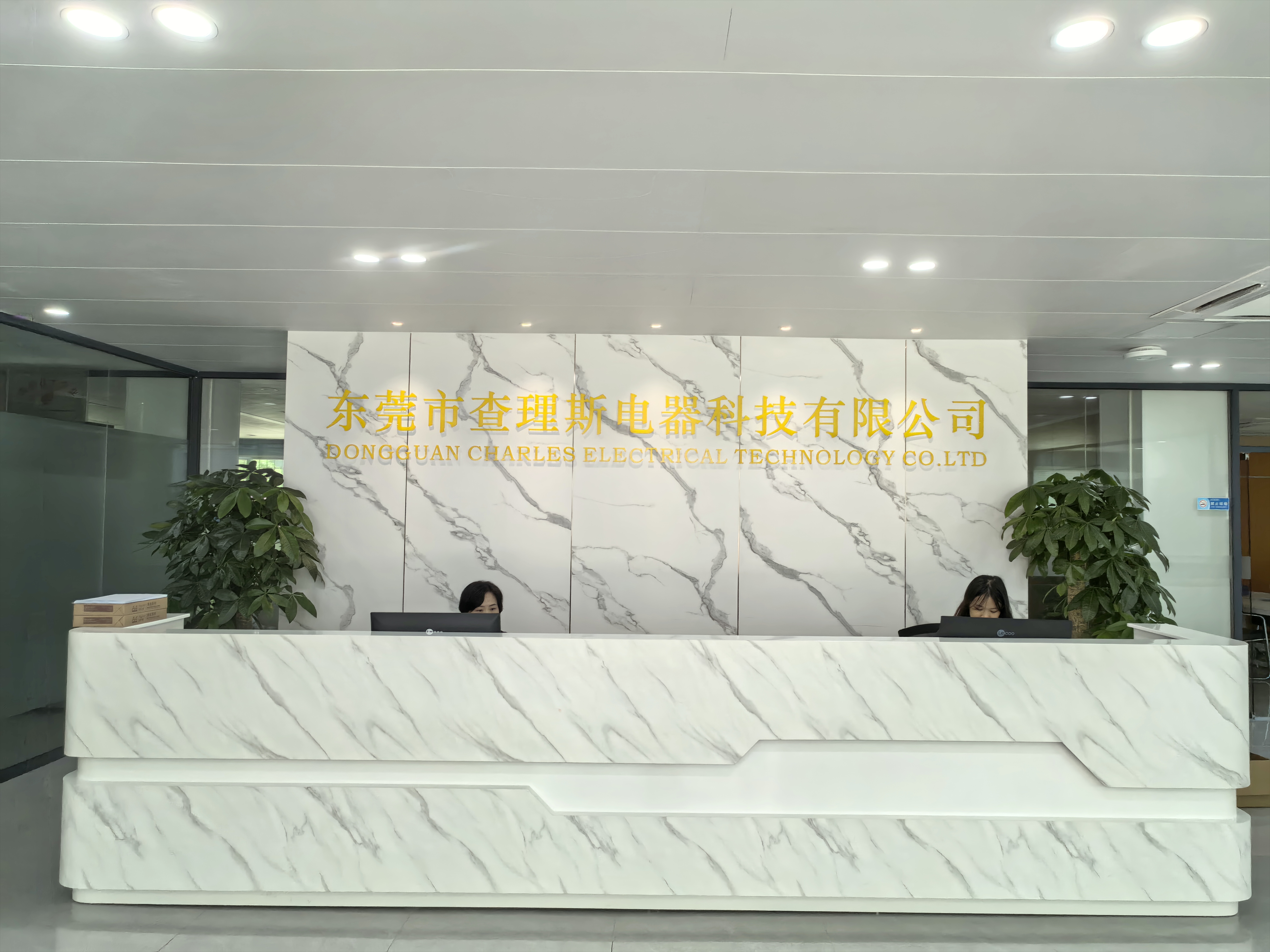 东莞市查理斯电器科技有限公司图3