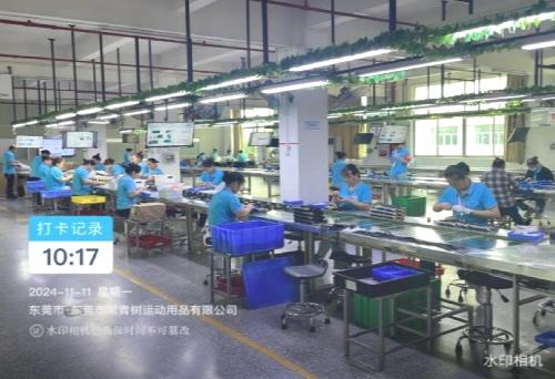 東莞市常青樹運動用品有限公司圖11