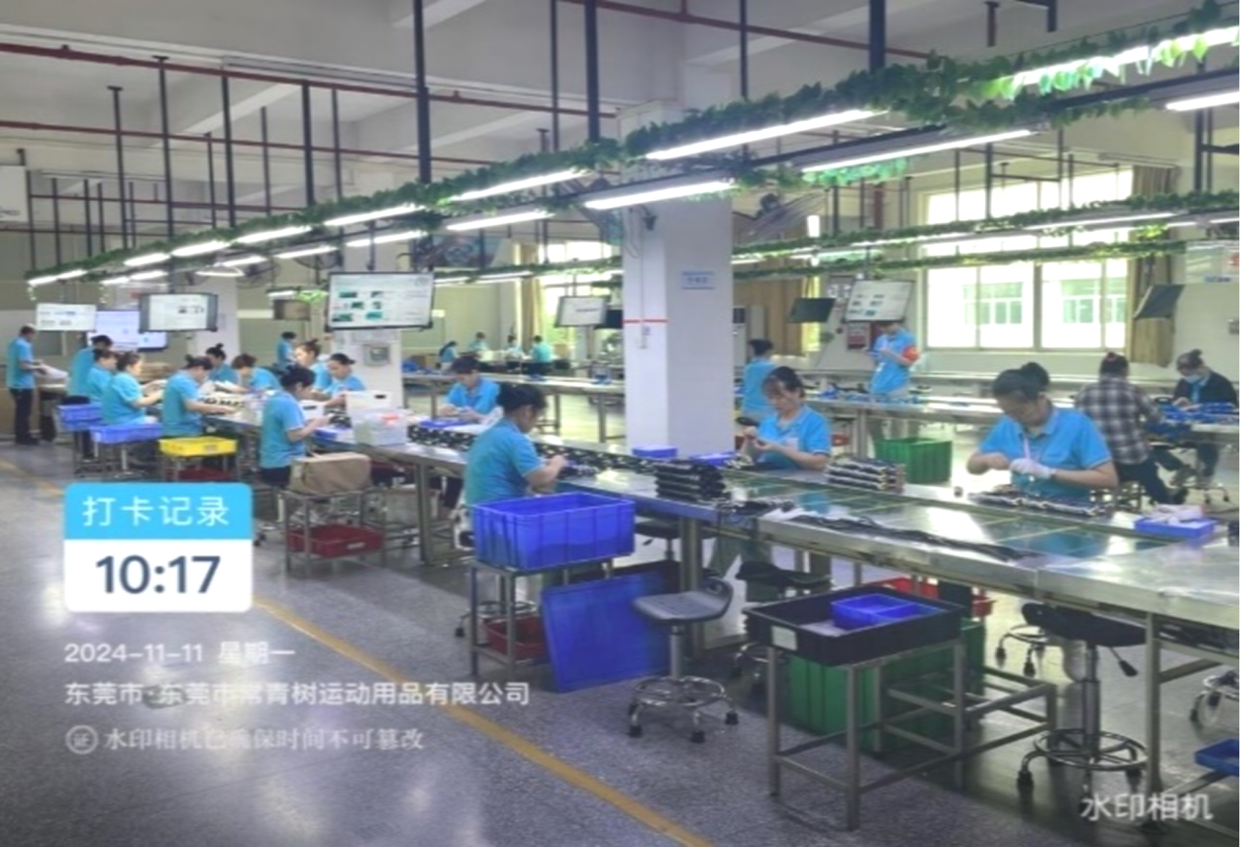 东莞市常青树运动用品有限公司图11