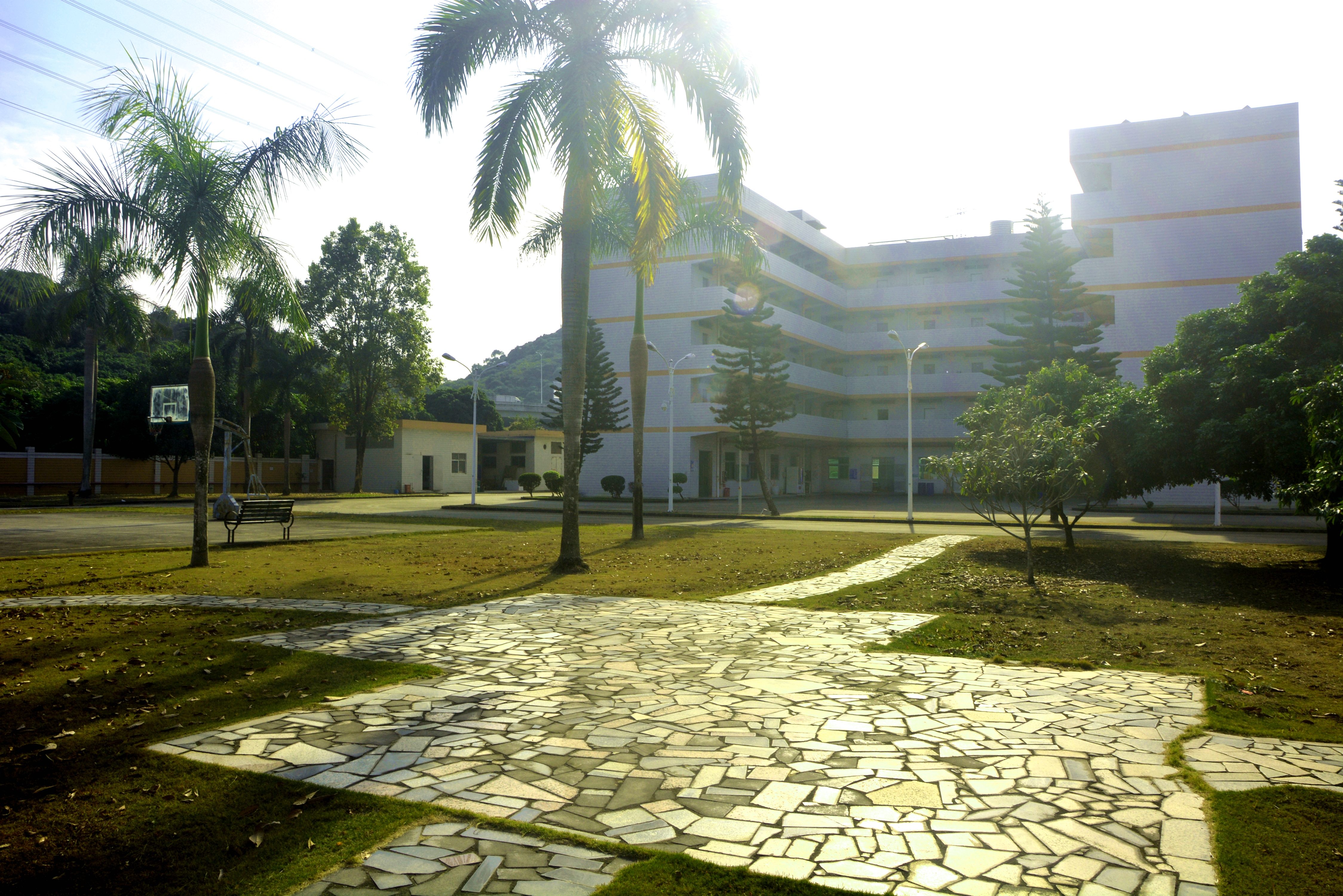 东莞俐华电子有限公司图4