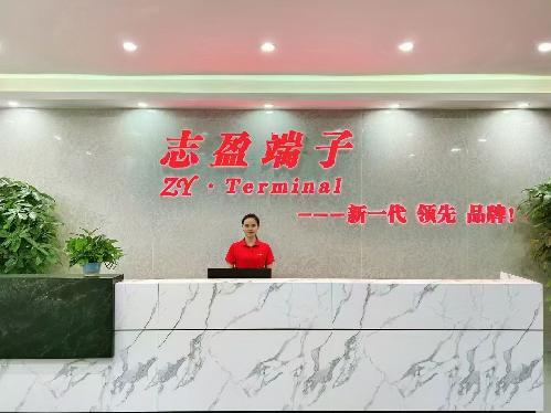 東莞市志盈五金制品有限公司圖1
