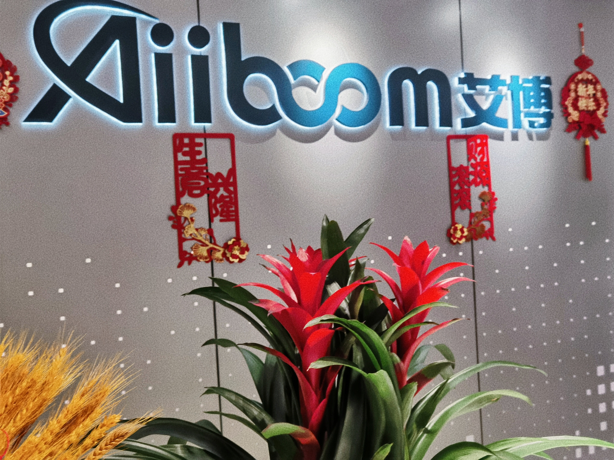 深圳市艾博领先科技有限公司图1