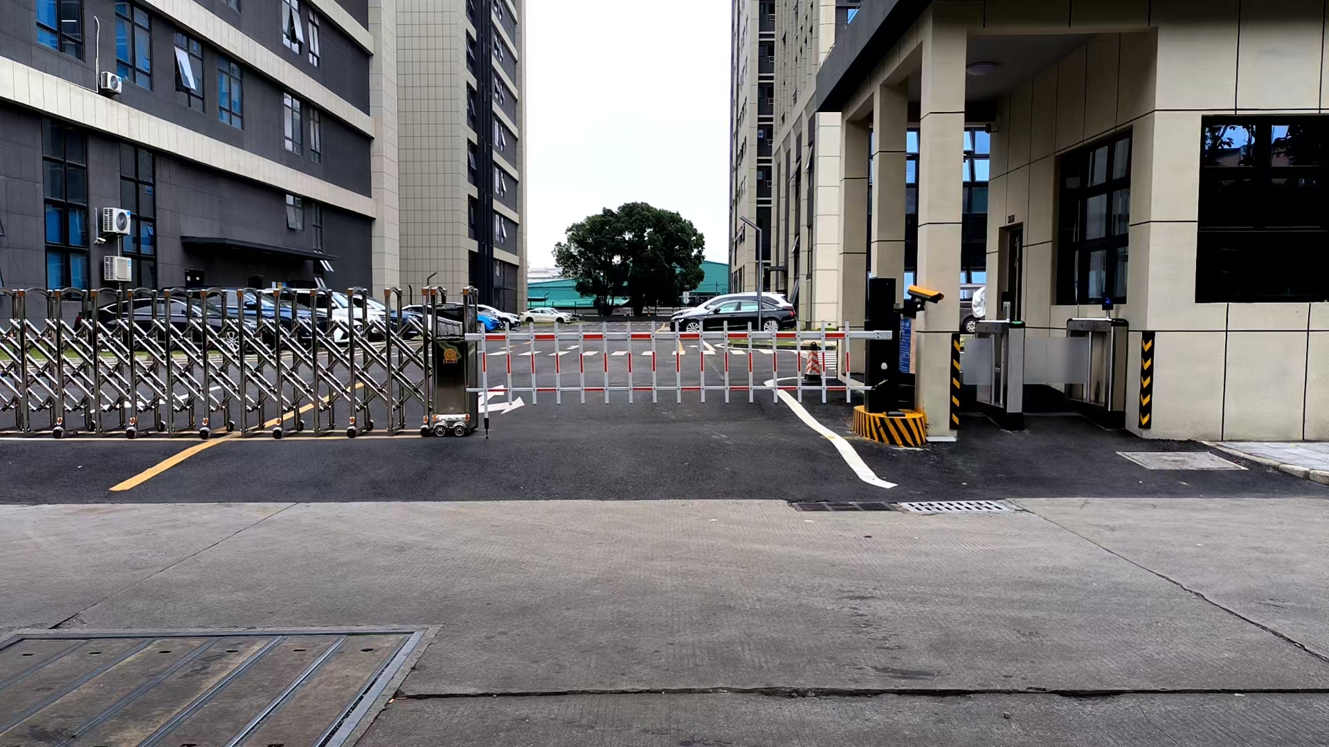 东莞市长智光视觉科技有限公司图2