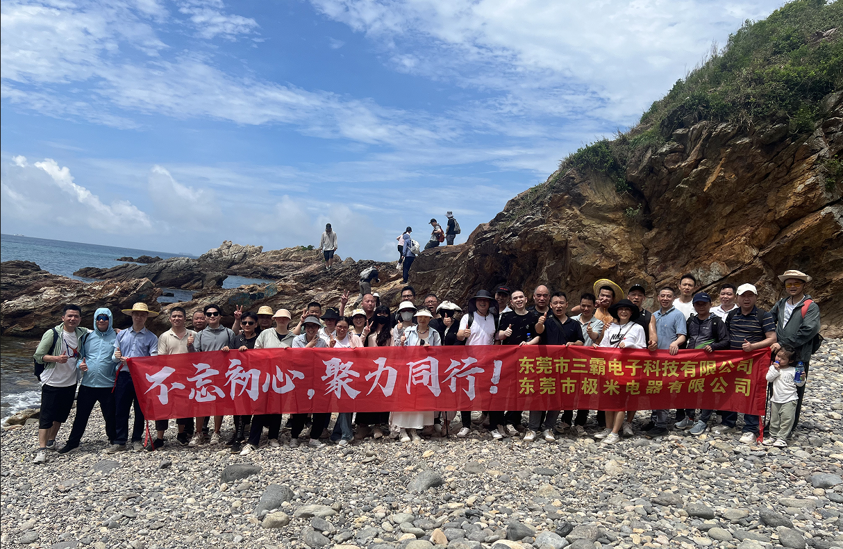 東莞市三霸電子科技有限公司圖片2