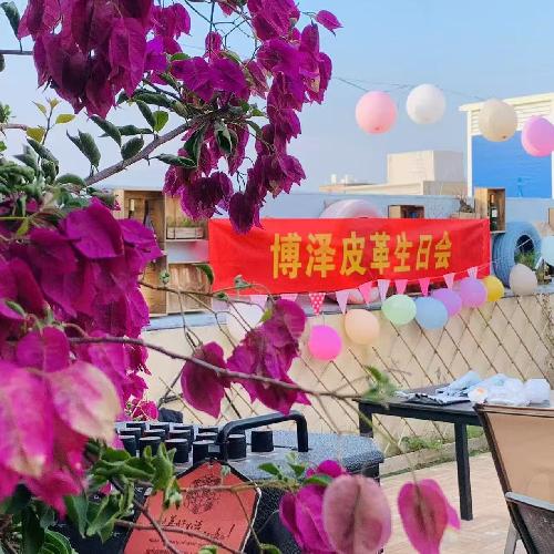 東莞市博澤皮革有限公司圖13