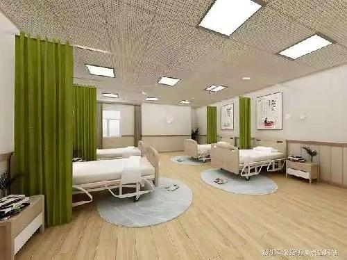 东莞市常青树家政服务有限公司图4