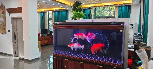 东莞市东美石墨实业有限公司图11