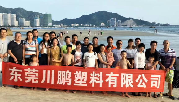 东莞川鹏塑料有限公司图2