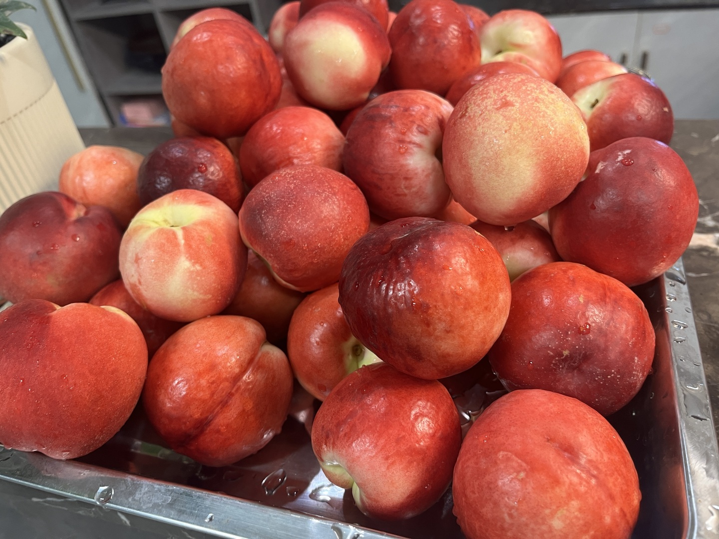 东莞市海月智能科技有限公司图4