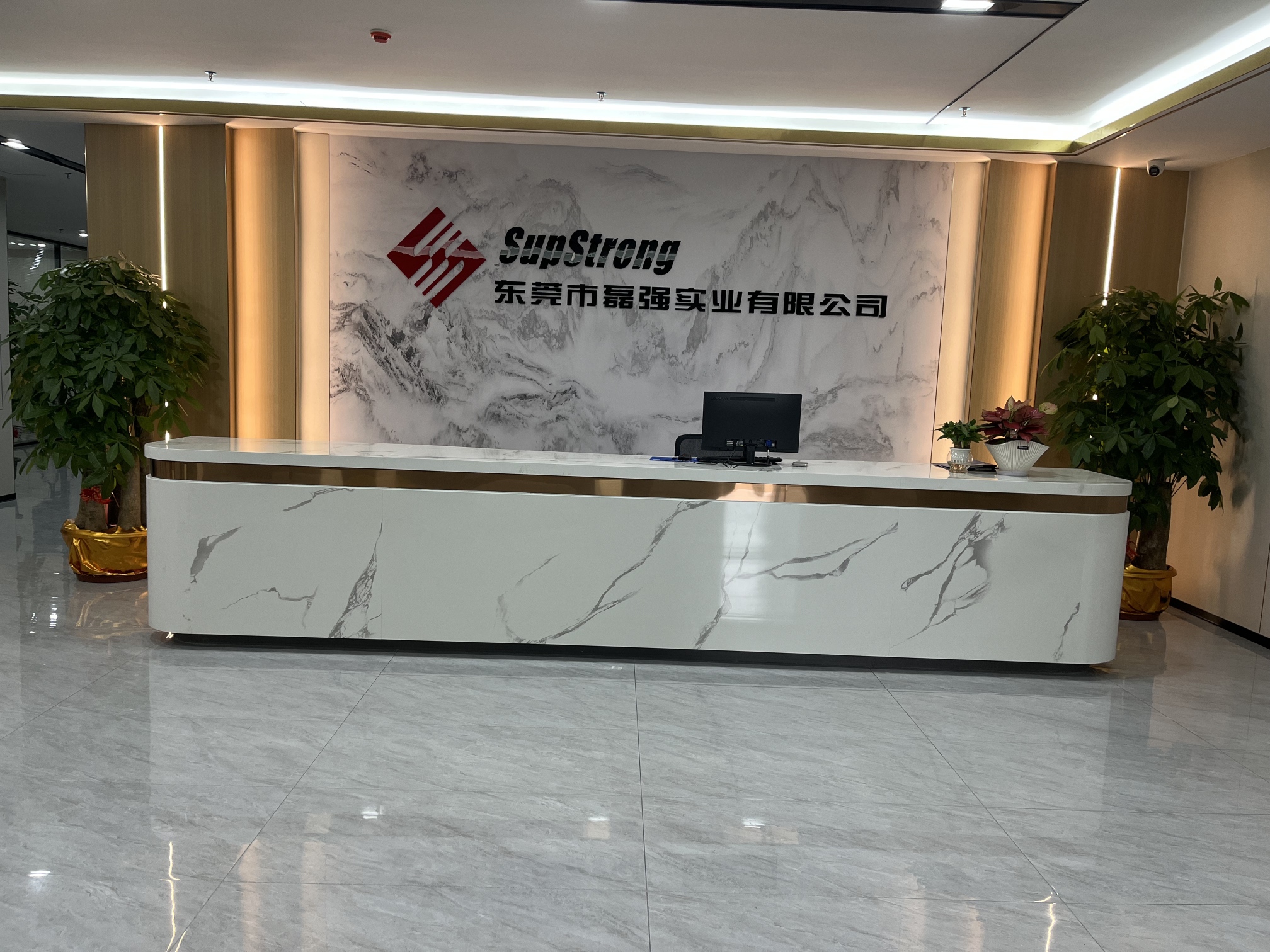 东莞市磊强实业有限公司图1