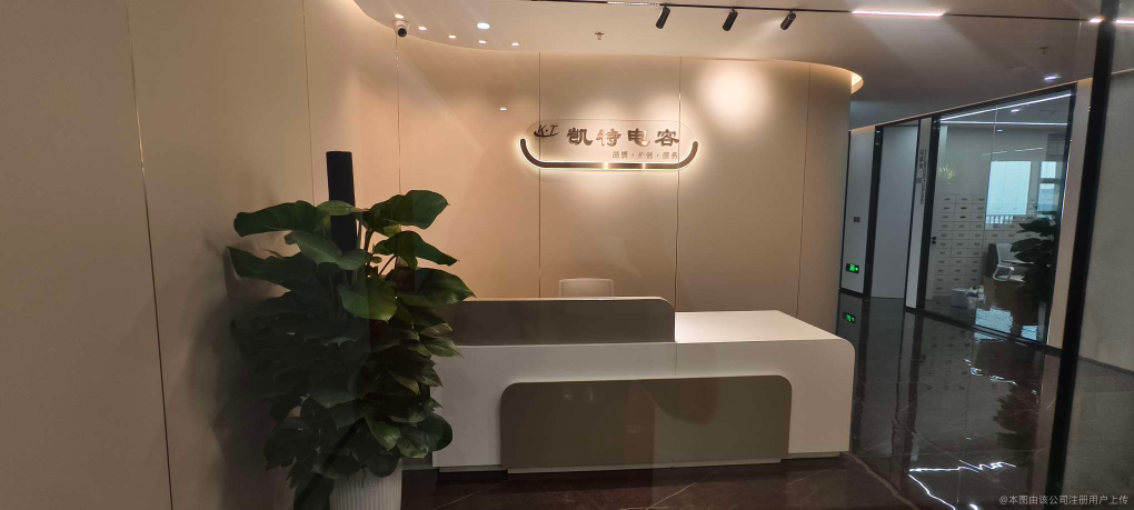 东莞市凯特电容有限公司图1