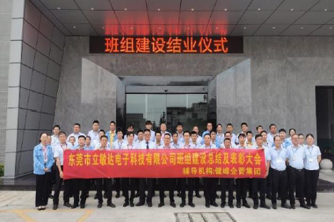 东莞市立敏达电子科技有限公司-图片15