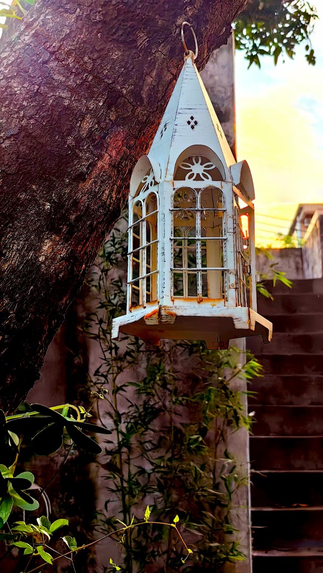 东莞市谢岗悦容美容店（个体工商户）图5