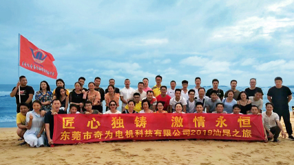 东莞市奇为电机科技有限公司图10