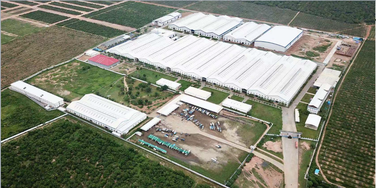 东莞市松城鞋业有限公司图2