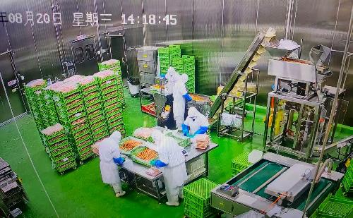 東莞歐陸食品有限公司圖4