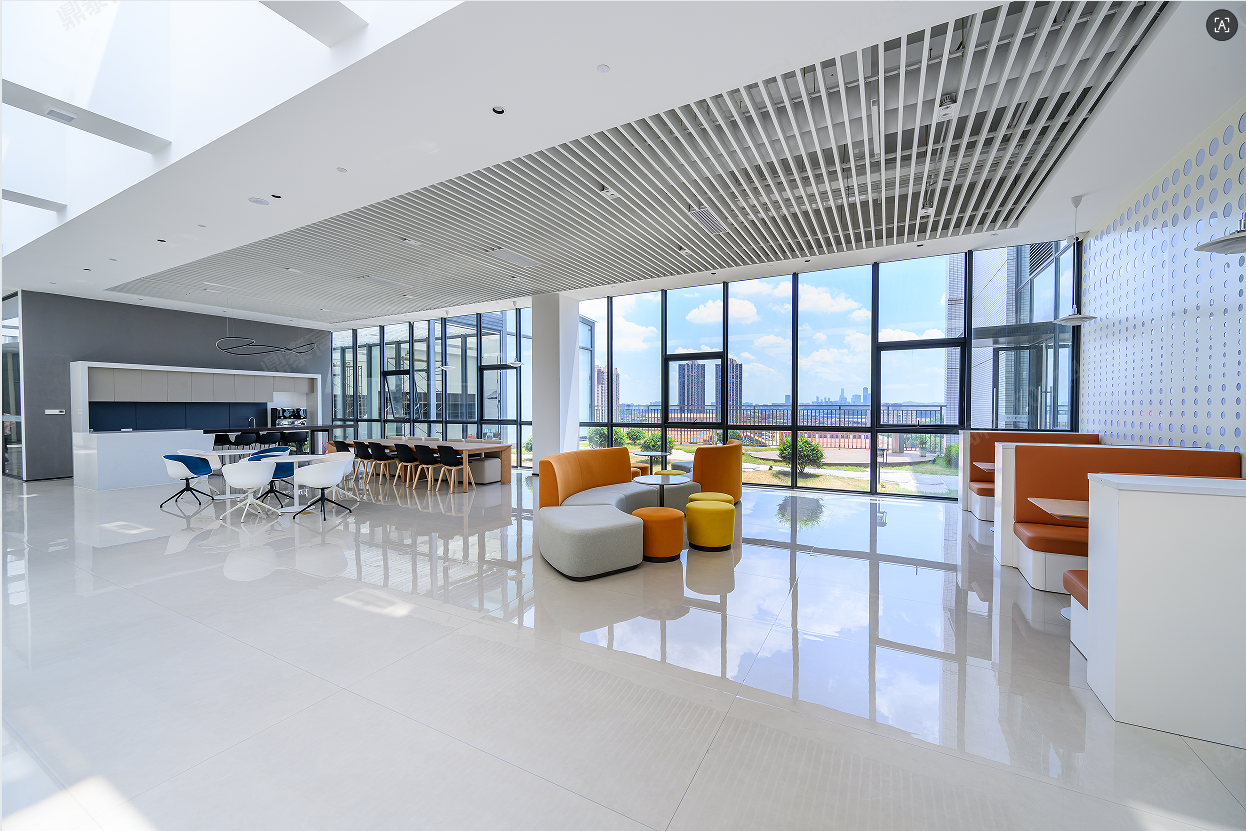 广东鼎泰高科技术股份有限公司图3