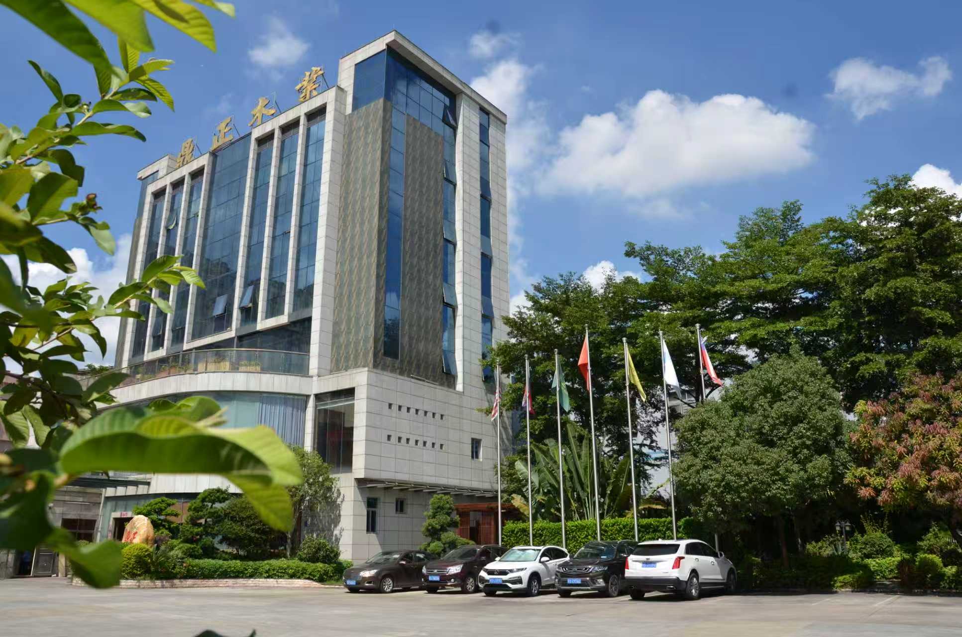 东莞市鼎正木业有限公司图20