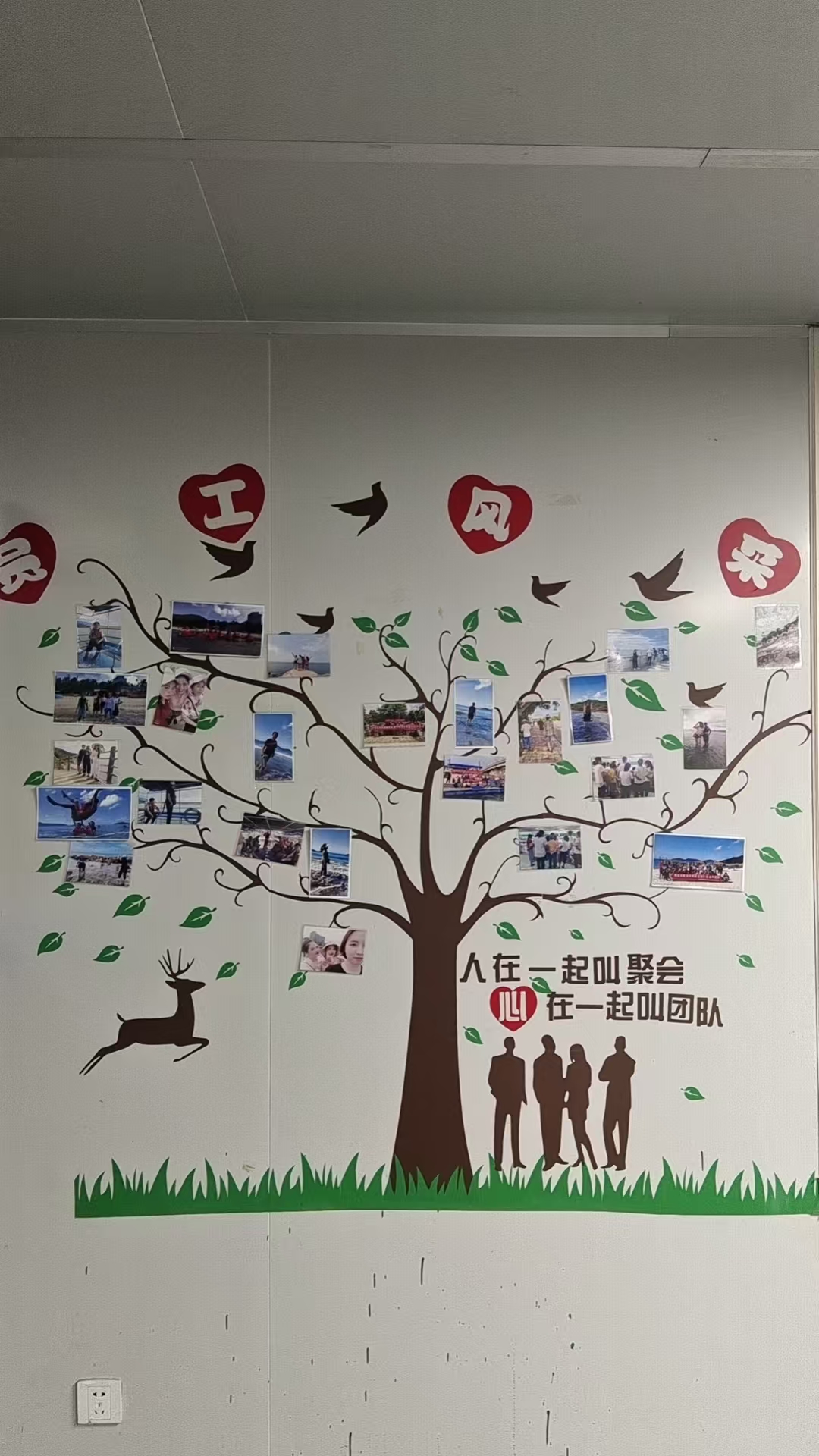 东莞莱科电气技术有限公司图4