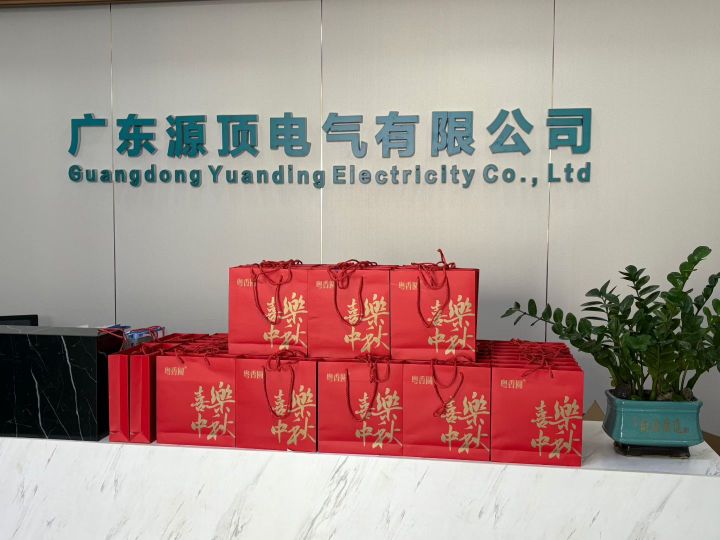 广东源顶电气有限公司图3