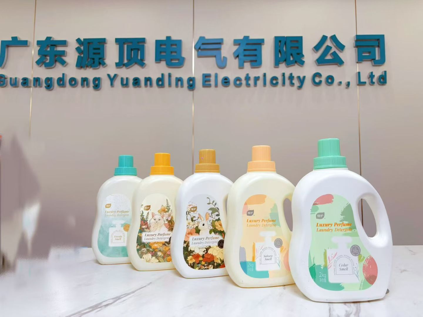 广东源顶电气有限公司图7