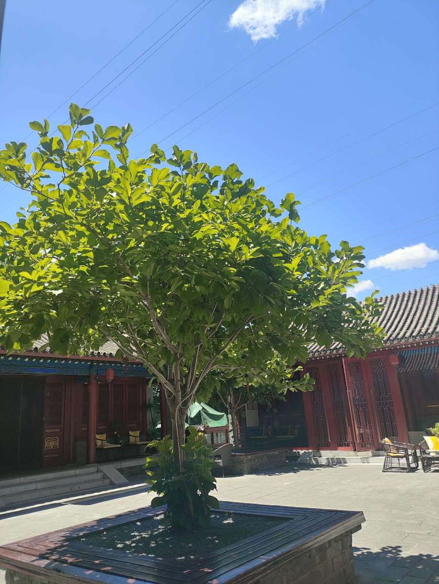 北京云吉合愿文化有限公司图1