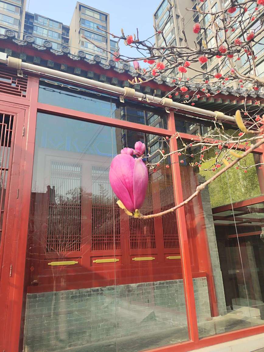 北京云吉合愿文化有限公司图4