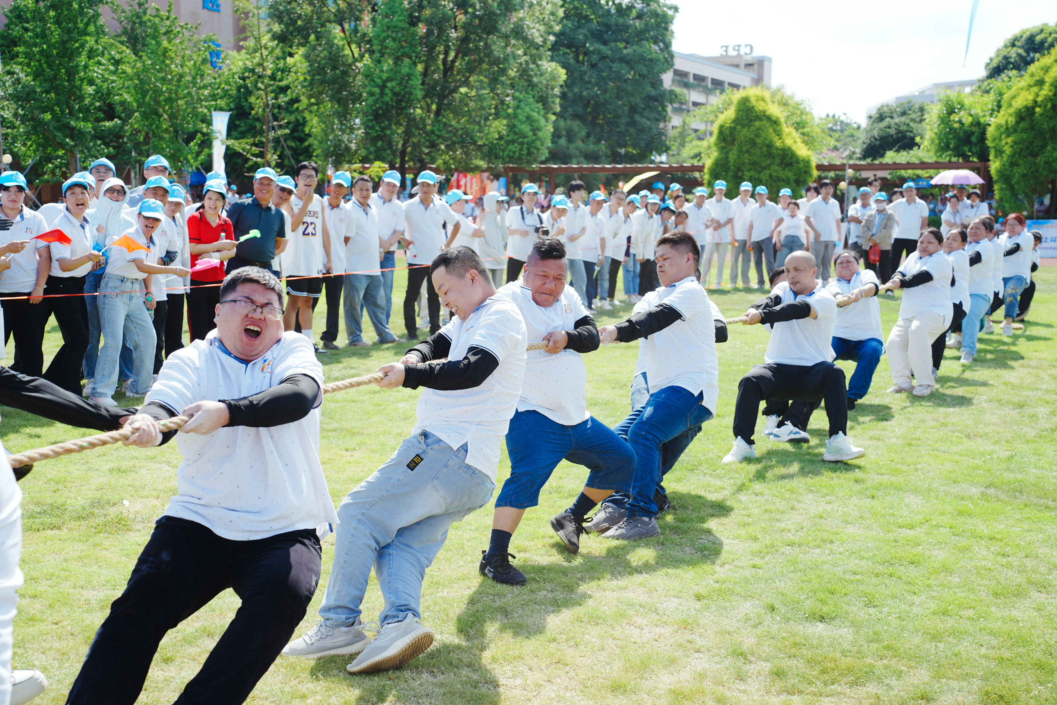 东莞沛波电子有限公司图片9
