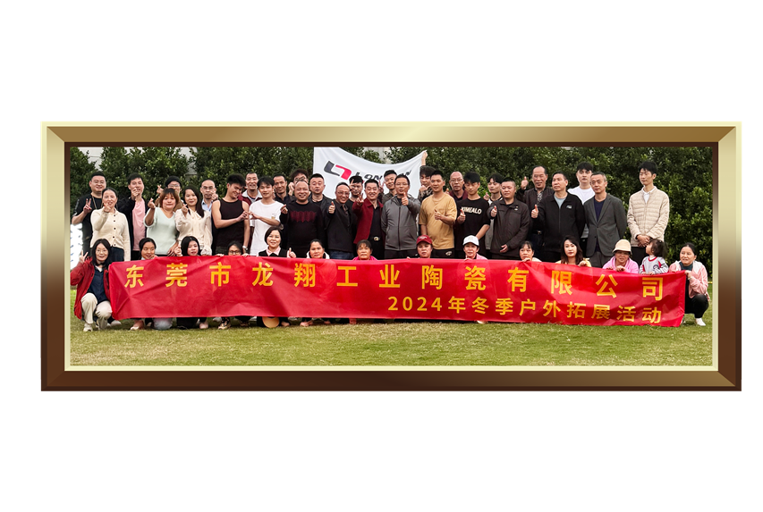 东莞市龙翔工业陶瓷有限公司图2