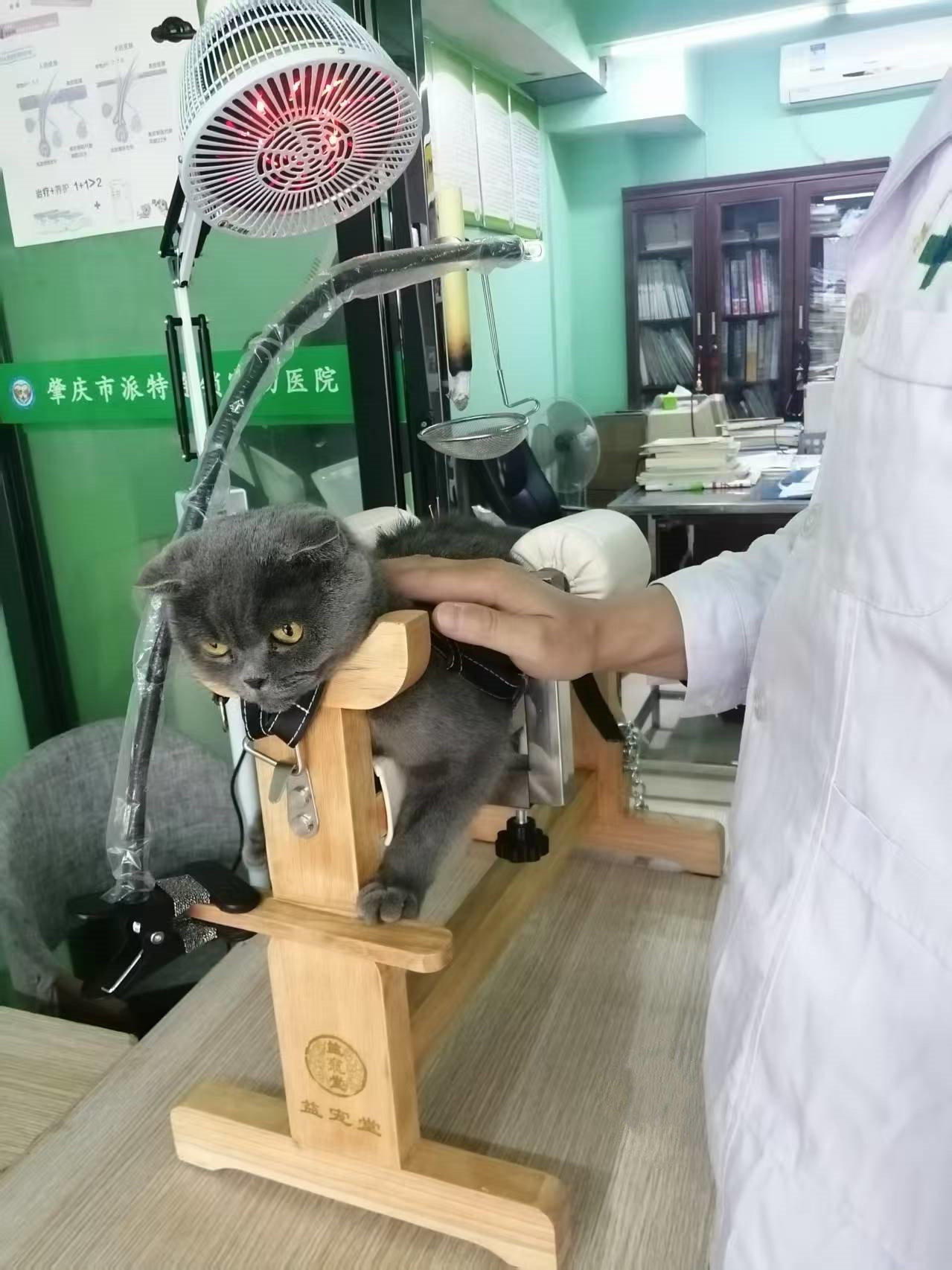 肇庆市派特宠物医院管理有限公司图5