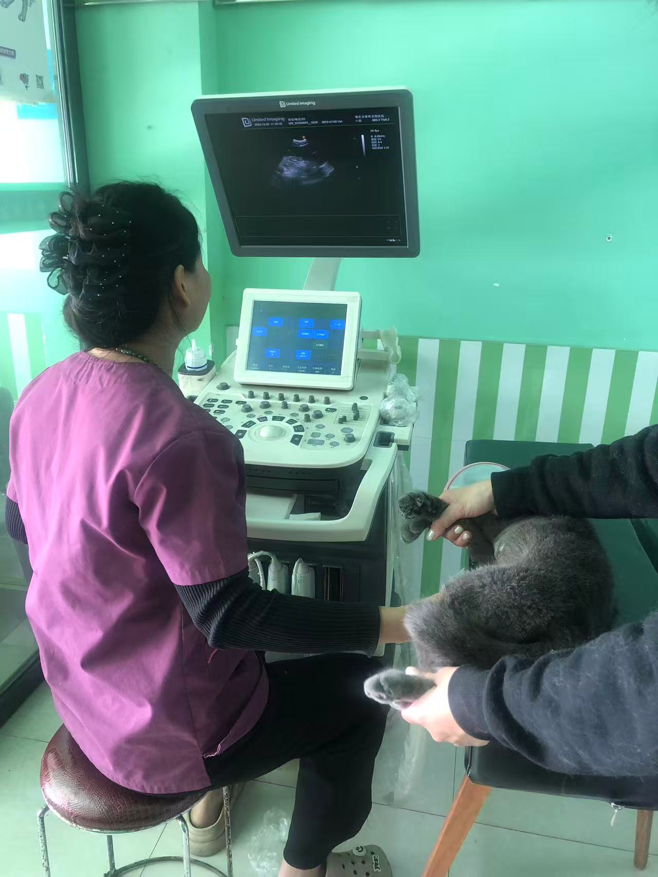 肇庆市派特宠物医院管理有限公司图4