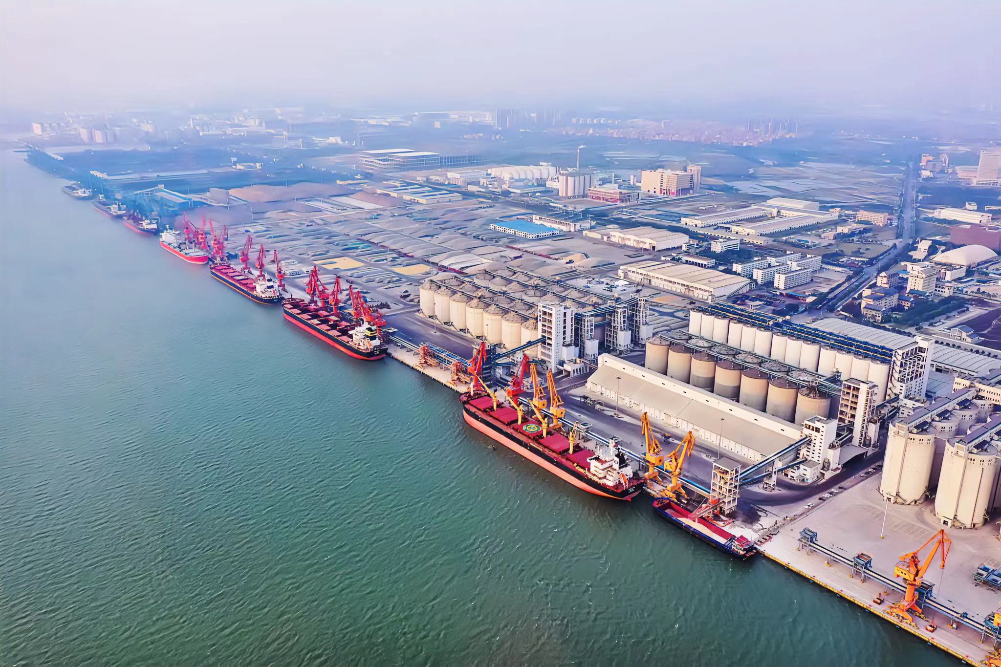 东莞深赤湾港务有限公司图1