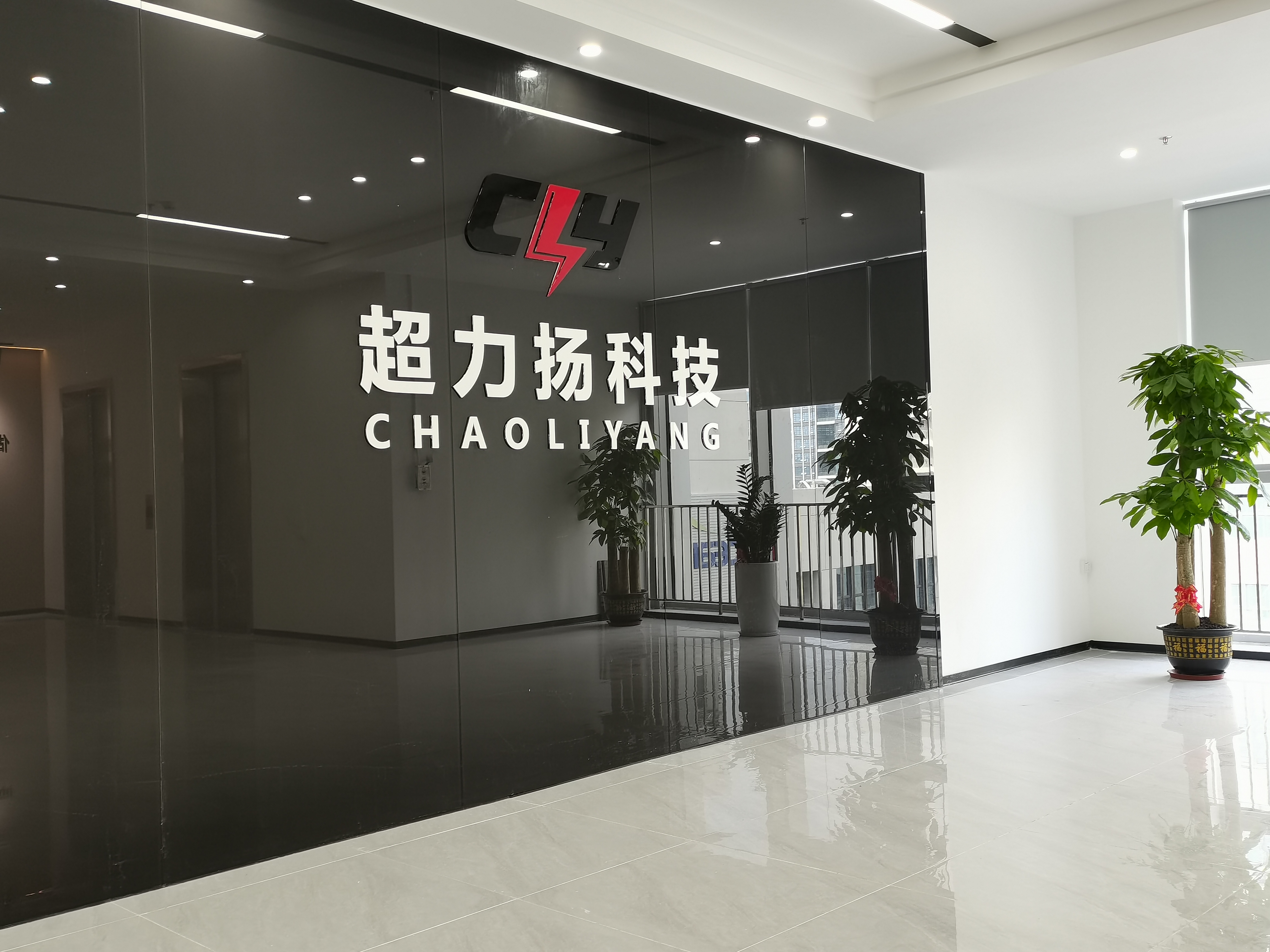 深圳市超力扬科技发展有限公司图1