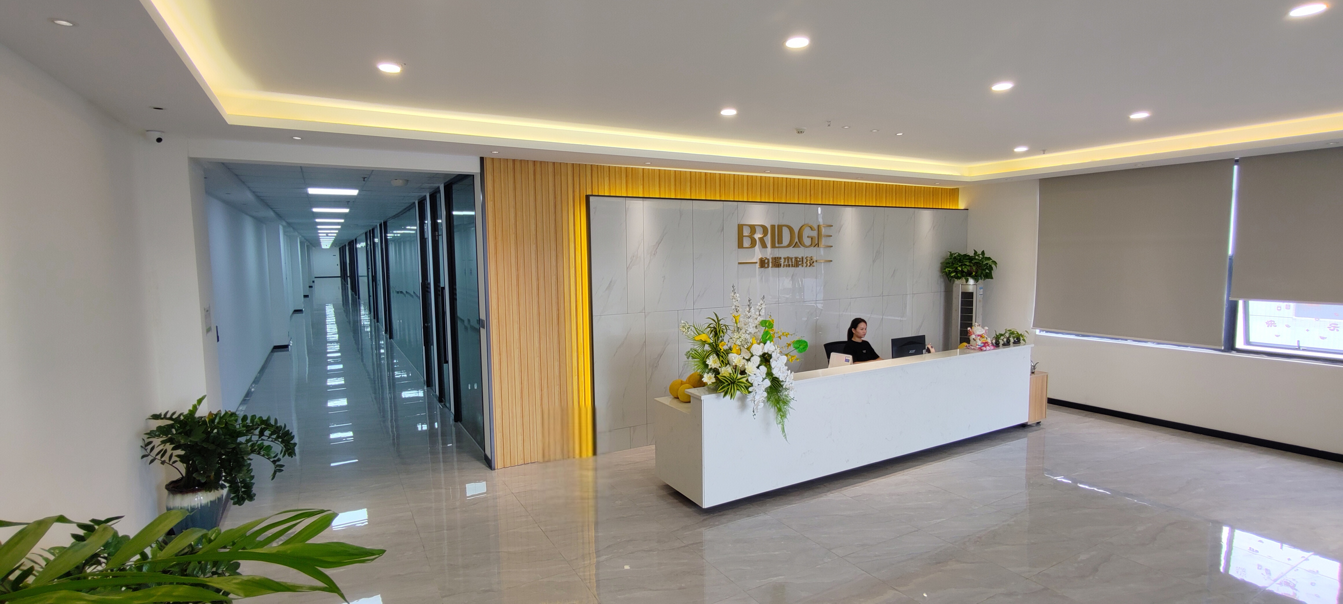 东莞市柏瑞杰机械科技有限公司图1