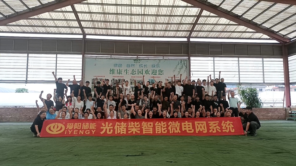 东莞爱阳动力新能源有限公司图8