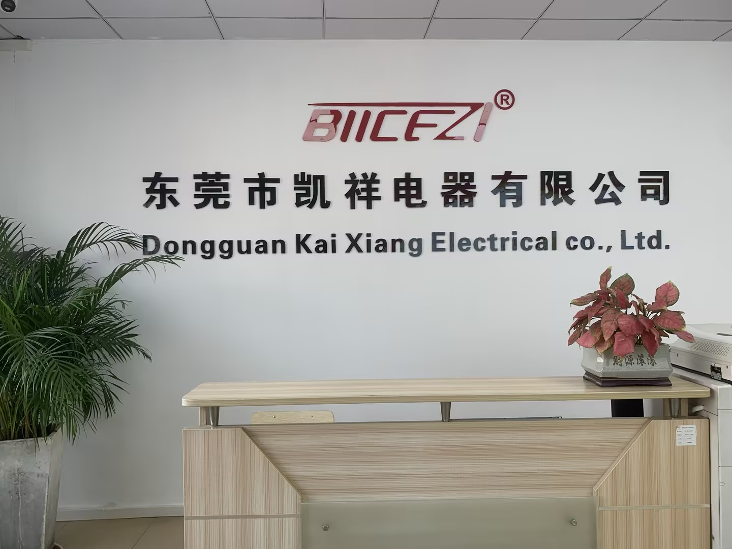 东莞市凯祥电器有限公司图7